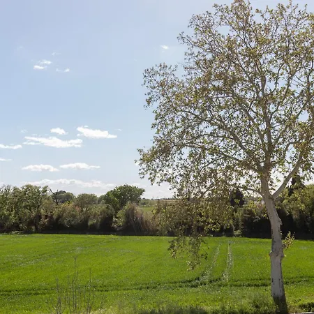 Eden * Saint-Aunes